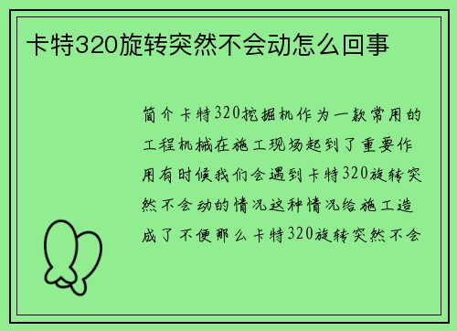 卡特320旋转突然不会动怎么回事